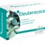 plantas en comprimidos ELEUTEROCOCO 60 comp de 330 mg